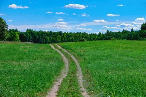 Road to forest Stock Photos