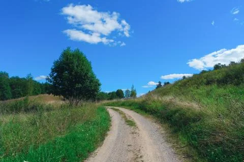 Road to forest Stock Photos