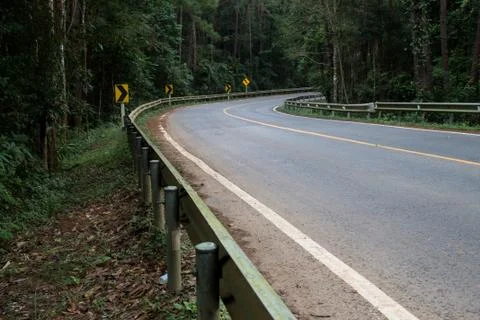 The road in the forest Stock Photos
