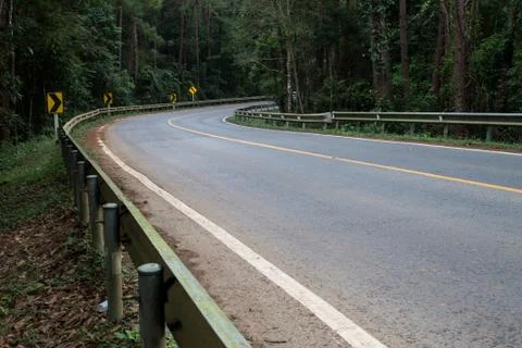 The road in the forest Stock Photos