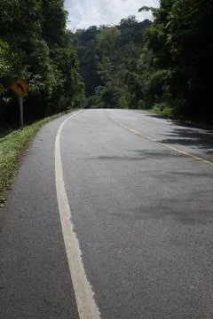 The road in the forest Stock Photos