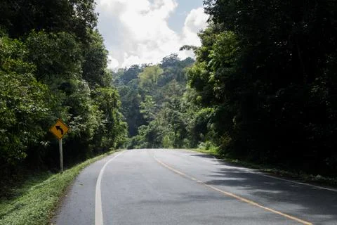 The road in the forest Stock Photos