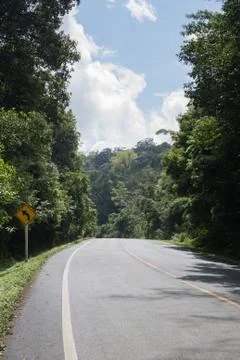 The road in the forest Stock Photos
