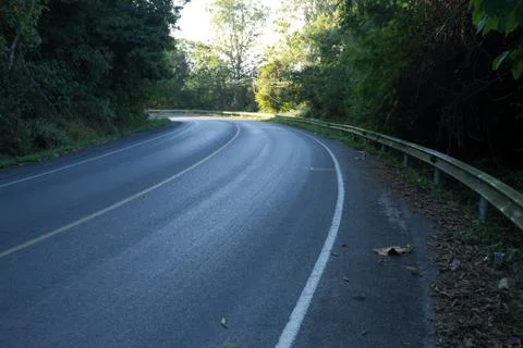 The road in the forest Stock Photos