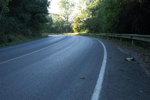The road in the forest Stock Photos