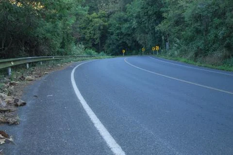 The road in the forest Stock Photos