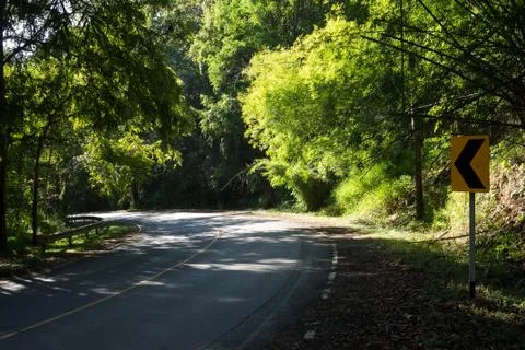 The road in the forest Stock Photos
