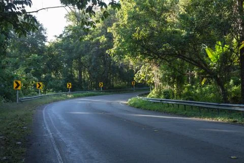 The road in the forest Stock Photos