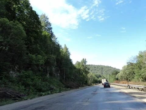 The road into the forest Stock Photos
