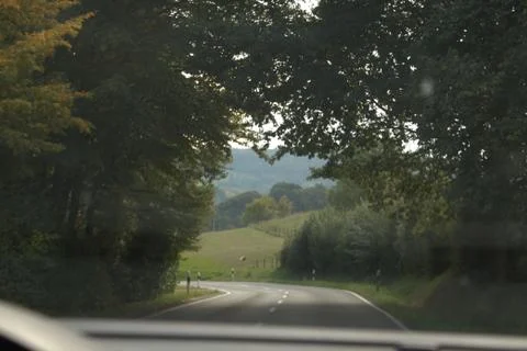 Road from the forest Stock-Fotos