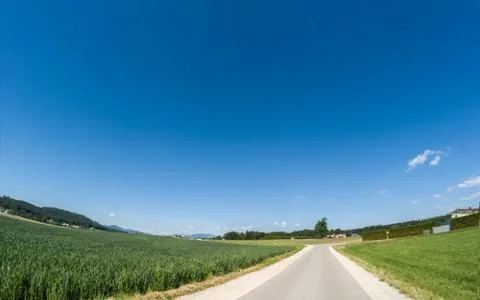 Road to the forest Stock Photos