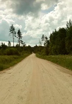 Road in the forest Foto stock