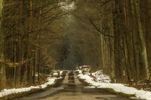  Road in the forest Stock Photos