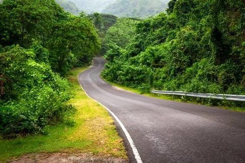 Road in forest Stock Photos