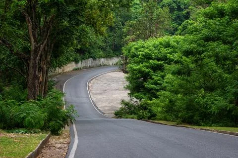 Road in forest Stock Photos