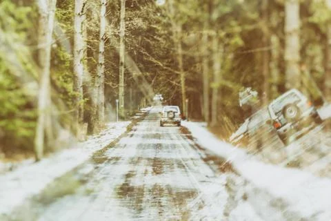 Road in a forest Stock Photos