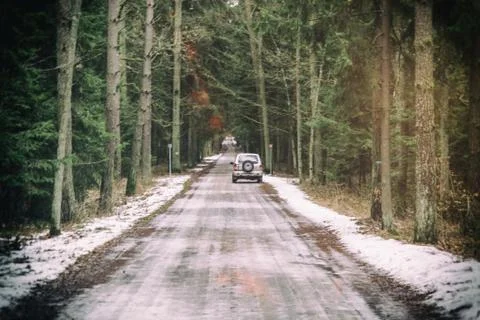 Road in a forest Foto stock