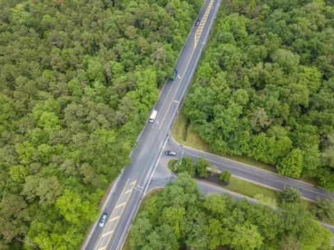 Road in the forest Stock Photos