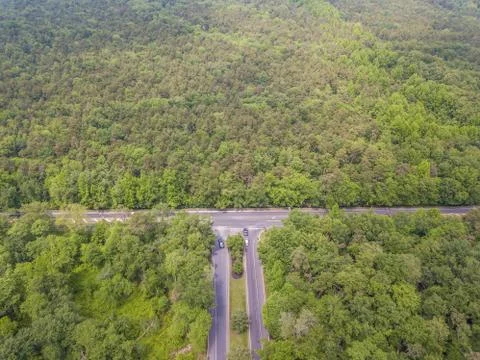 Road in the forest Stock Photos