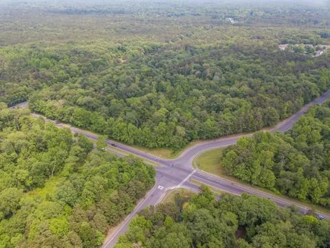 Road in the forest Stock Photos