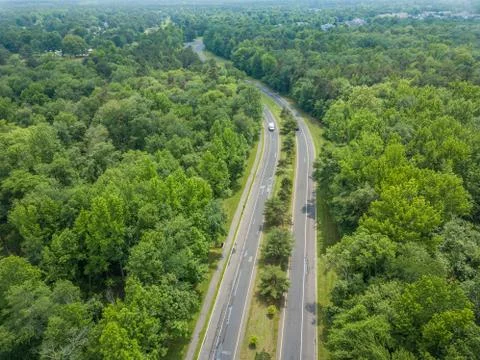 Road in the forest Stock Photos