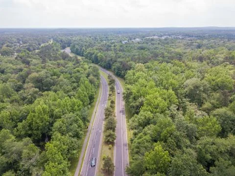Road in the forest Stock Photos