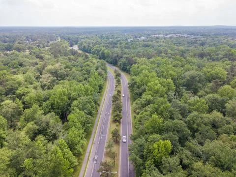 Road in the forest Stock Photos