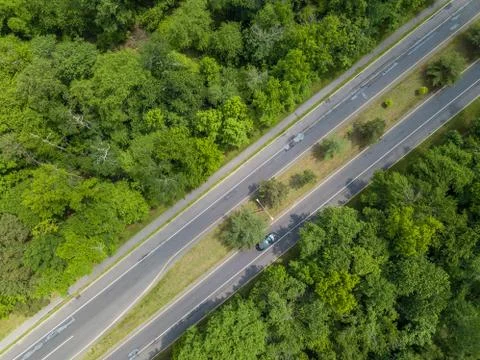 Road in the forest Stock Photos