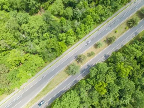 Road in the forest Stock Photos