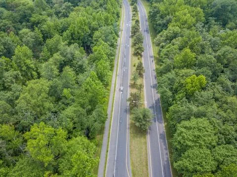 Road in the forest Stock Photos
