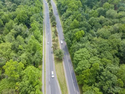 Road in the forest Stock Photos