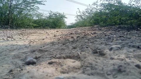 The road in the forest Stock Photos