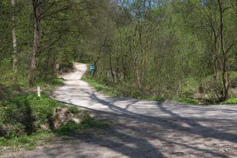 Road in the forest. Stock Photos