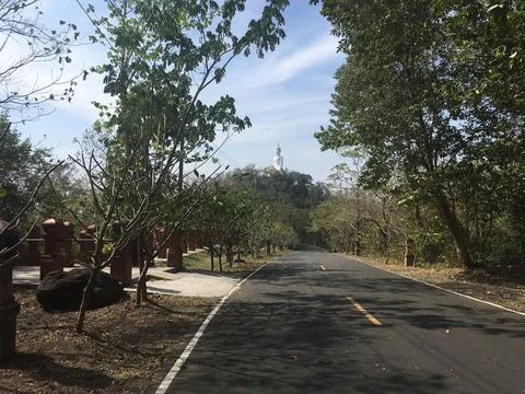 The road in the forest Stock Photos