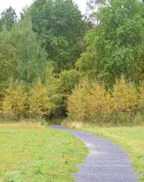 The road to the forest Foto stock
