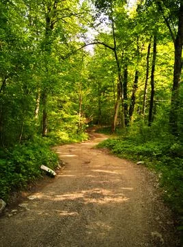 Road from the forest Stock Photos