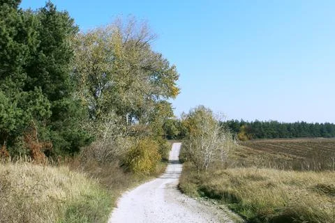 Road to the forest Stock Photos
