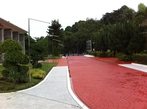 Road to forest Stockfoto's