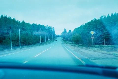 The Road to the Forest Foto stock