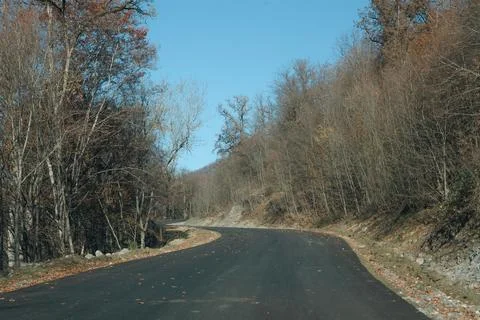 Road in the forest .. Stock Photos