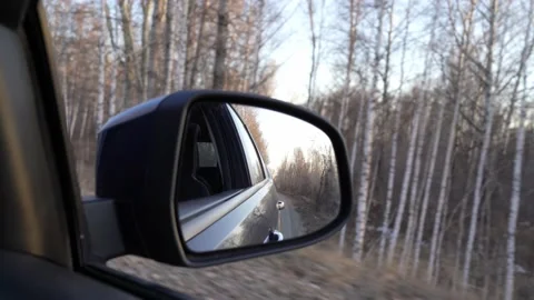 Road in the forest reflection Stock Footage 179838428