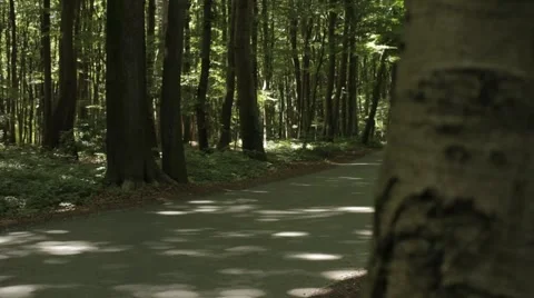 Road in Forest Slider Move Stock Footage 47825932