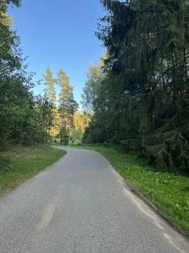 A road in the forest on a summer day Stock Photos