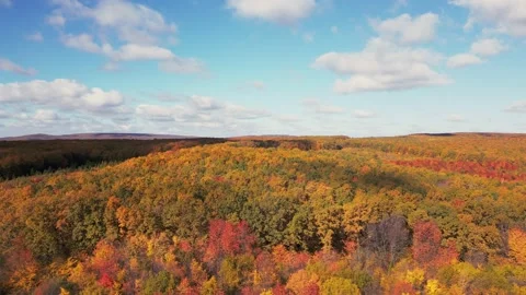 Road in the forest taken from a height Stock Footage 228587705