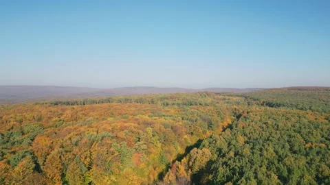 Road in the forest taken from a height Stock Footage 230012939