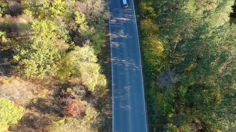 Road in the forest top view Stock Footage 81524696