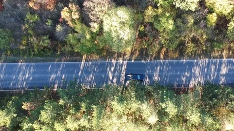 Road in the forest top view Stock Footage 81525460