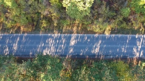 Road in the forest top view zoom in Stock Footage 81528331