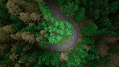 Road in the forest with trees moving in the wind. Aerial view from a drone Stockbeeldmateriaal 270379494