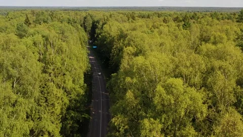 A road in the forest, view from above Stock Footage 329249854